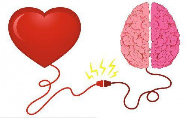 مراقبت قلب از مغز